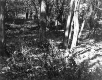 Kernstown battlefield